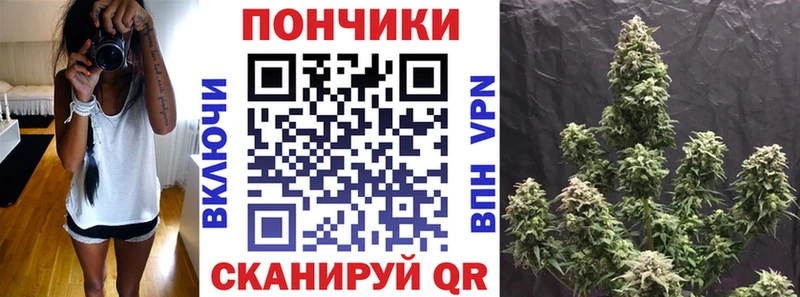 Каннабис марихуана  Сосновка 